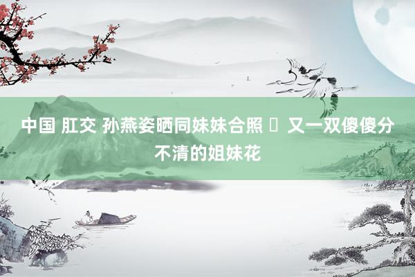 中国 肛交 孙燕姿晒同妹妹合照 又一双傻傻分不清的姐妹花