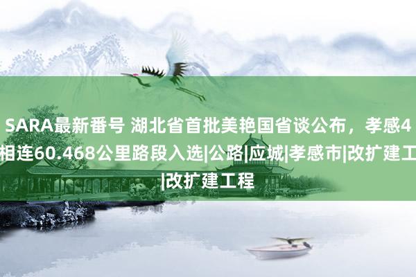SARA最新番号 湖北省首批美艳国省谈公布，孝感4条相连60.468公里路段入选|公路|应城|孝感市|改扩建工程
