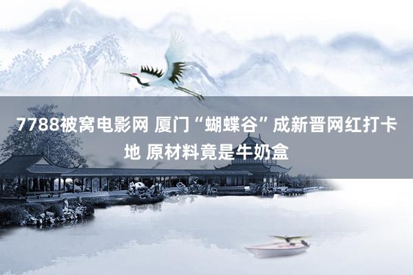 7788被窝电影网 厦门“蝴蝶谷”成新晋网红打卡地 原材料竟是牛奶盒