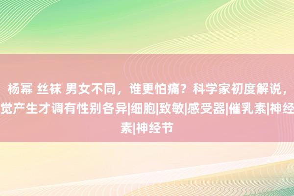 杨幂 丝袜 男女不同，谁更怕痛？科学家初度解说，痛觉产生才调有性别各异|细胞|致敏|感受器|催乳素|神经节