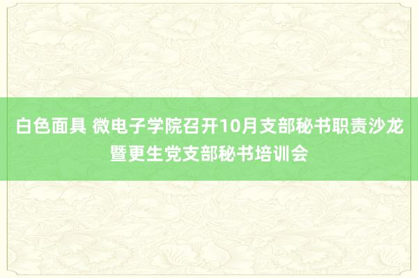 白色面具 微电子学院召开10月支部秘书职责沙龙暨更生党支部秘书培训会
