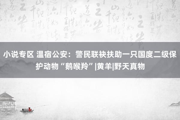 小说专区 温宿公安：警民联袂扶助一只国度二级保护动物“鹅喉羚”|黄羊|野天真物