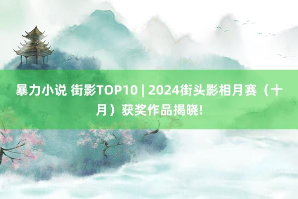 暴力小说 街影TOP10 | 2024街头影相月赛（十月）获奖作品揭晓!
