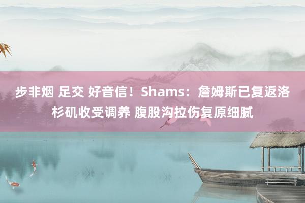 步非烟 足交 好音信！Shams：詹姆斯已复返洛杉矶收受调养 腹股沟拉伤复原细腻